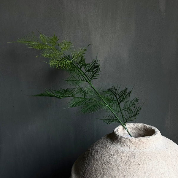 Kunst Asparagus tak in een papier-maché pot, zeer realistich en bijna niet van het echte te onderscheiden.